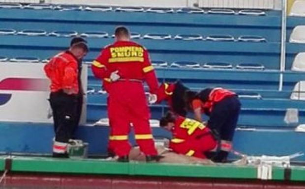 Újabb tragédia érte a bukaresti Dinamo klubot