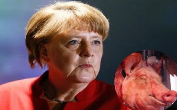 Disznófejet küldtek Merkelnek