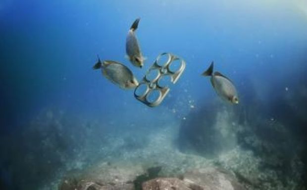 Állatoknak hasznos hulladékot fejlesztettek ki