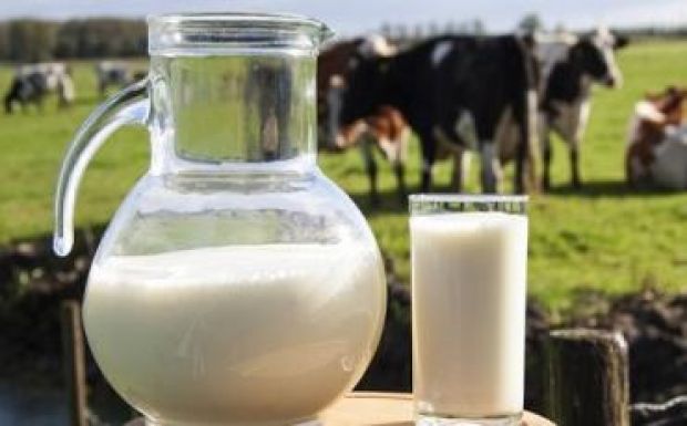Megnégyszereződik a tej ára az istállótól a boltig
