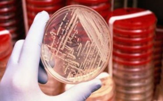 A legerősebb antibiotikumnak is ellenálló fertőzéses esetet találtak Amerikában