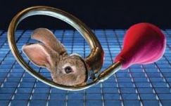 Liliomot mutat be a Tamási Áron Színház