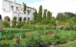 Kipusztulhat a növények egyötöde