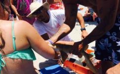 A karjába harapó cápával vittek kórházba egy nőt