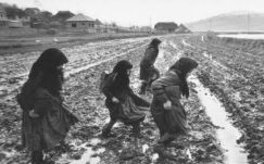 Megőrizni az időt – Korniss Péter fotóművész alkotásai Sepsiszentgyörgyön