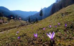 A legmelegebb áprilisunk volt idén