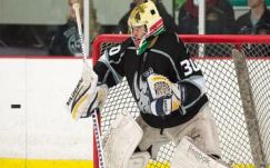 Az NHL-ben szereplő Minnesota Wild leigazolta Vay Ádámot