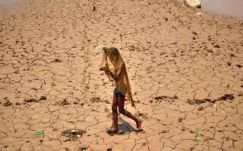 Indiában 51 Celsius-fokot mértek