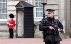 Bemászott a Buckingham-palota parkjába egy feltételesen szabadon engedett gyilkos