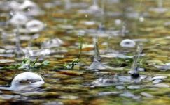 Időjárás: nyárias idő váltakozik heves záporokkal