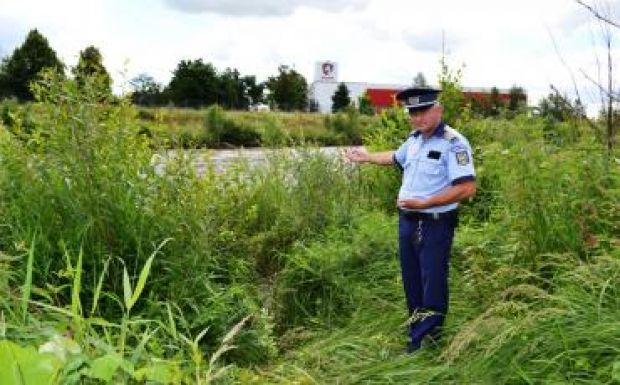 Kimentette a Marosból a rendőr a 22 éves szászrégeni öngyilkosjelöltet