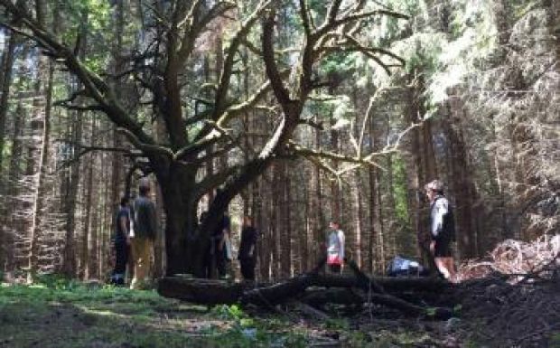 Tamási Áronra emlékezik új előadásával a sepsiszentgyörgyi társulat