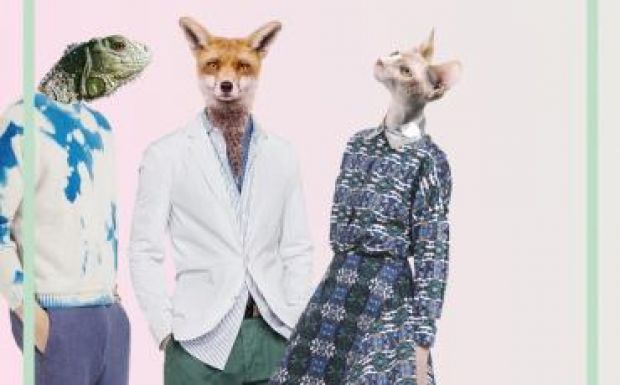 Állatokról szerveznek esztétikatábort Sepsiszentgyörgyön