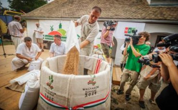 Parajdról küldik a sót a magyarok kenyeréhez