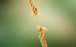 Ezek 2016 legstresszesebb szakmái