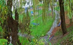 Sebestyén Mihály: Magántapasztalat