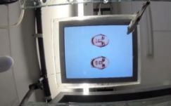 Arcfelismerő halat fedeztek fel