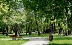 Csíkszereda a legzöldebb, Brassó a legszürkébb városa Romániának