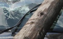 Pórul járt egy nagyszebeni autós Hargita megyében