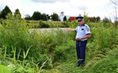 Kimentette a Marosból a rendőr a 22 éves szászrégeni öngyilkosjelöltet