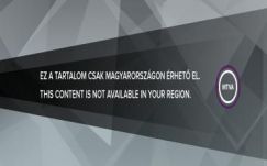 Sebestyén Mihály: Szerzői jogok és az információ szabadsága