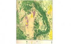 Székedi Ferenc: A gyökerek