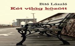 KISEBBSÉGBEN: Hány világ közt…