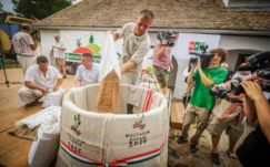 Parajdról küldik a sót a magyarok kenyeréhez