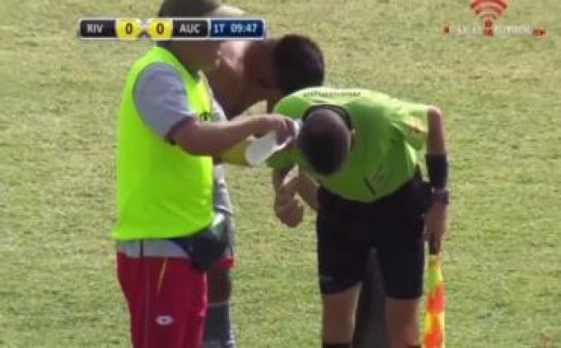 Méhek vetettek véget a focimeccsnek