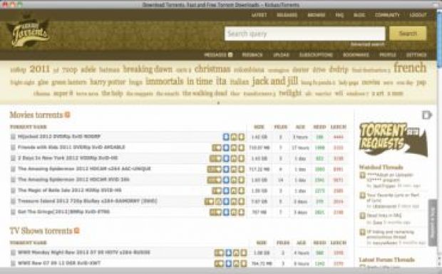 Elfogták a világ legnagyobb torrentoldalának alapítóját