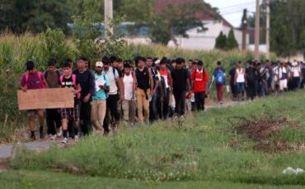 Néhány kilométerre vannak a magyar határtól a Belgrádból menetelő migránsok