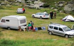 Vakációzó kislányt támadott meg a medve