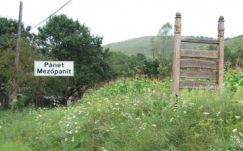 Mezőpanitban temetik újra a tavaly Kolozsváron kihantolt magyar honvédeket