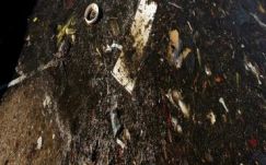 Krebsz János: Szenny