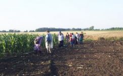 Mérgezés gyanújával 142 székelyudvarhelyi diák került kórházba Magyarországon