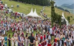 Székedi Ferenc: Nyolc és fél (évtized)