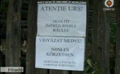 A miniszterelnökhöz fordult Hargita megye a medveproblémával