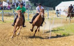 Lemhény lovasa nyerte a Székely vágtát
