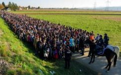 Amerikai felmérés: az európaiak szerint a bevándorlás növeli a terrorveszélyt