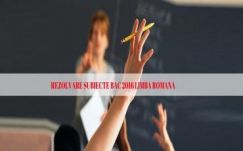 Ambrus Attila: Bau Bau