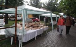 Eső mosta a kézműves vásárt Nagyváradon