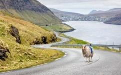 Birkával pótolták a Google-t a Feröer-szigeteken