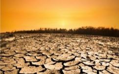 Ágoston Hugó: Víz, vizecske