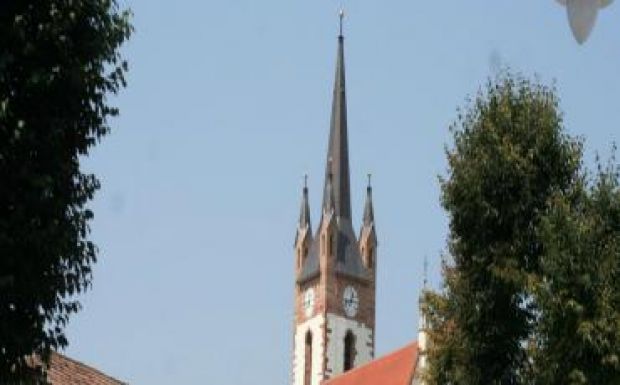 Székedi Ferenc: Ahonnan messzire látni