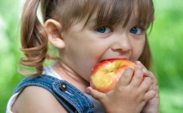 66 millió lejből finanszírozzák a Gyümölcsöt az iskolába programot