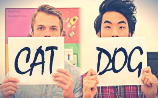 Kutyatartókat és macskatartókat hasonlított össze a Facebook