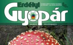 Megjelent az Erdélyi Gyopár idei negyedik száma