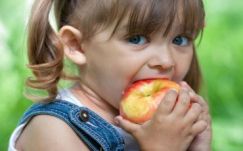 66 millió lejből finanszírozzák a Gyümölcsöt az iskolába programot