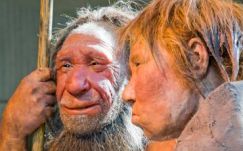 Nem tudtak kabátot készíteni a neandervölgyiek, ezért haltak ki