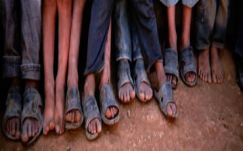 Szilágyi N. Sándor: Én ember szeretnék maradni, ha nem nagy baj